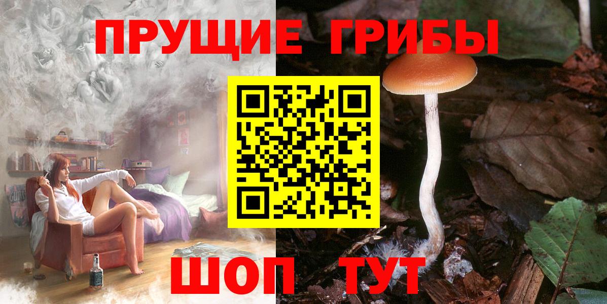 Псилоцибиновые грибы GOLDEN TEACHER Верхняя Салда