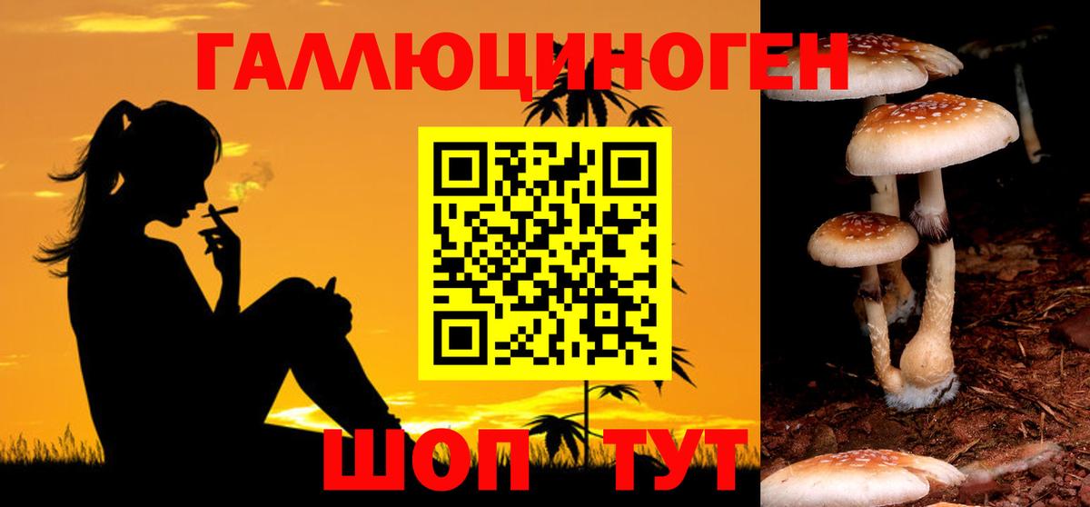 Галлюциногенные грибы Psilocybe  Вход с VPN  Верхняя Салда 